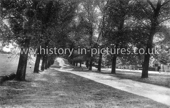 The Avenue, Woodford Green, Essex. c.1930's